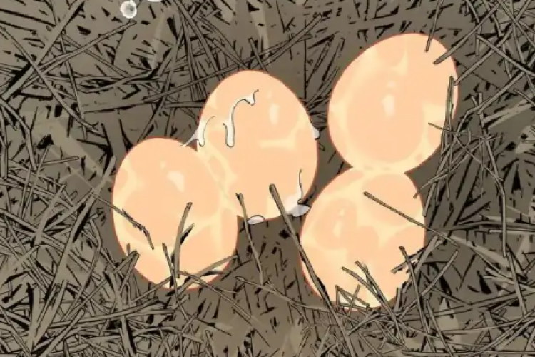 Al final no funcionó...... Leer Manhwa BL Mr.A's Farm Capítulo 11 en español