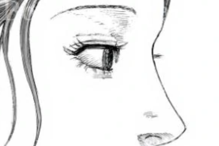RAW para leer el Manga Kingdom en español capítulo 842, La mirada vacía en los ojos de la princesa